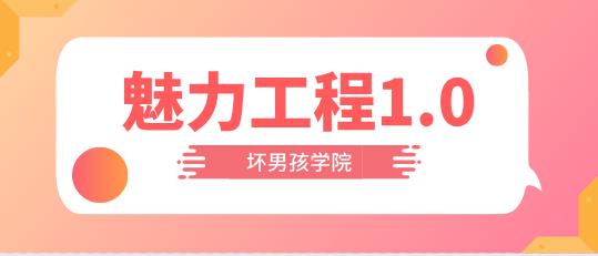 [9.9GB]小鹿情感：坏男孩《魅力工程1.0》完整版【120701】-恋爱猫