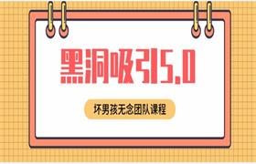 坏男孩无念团队《黑洞吸引5.0》-恋爱猫