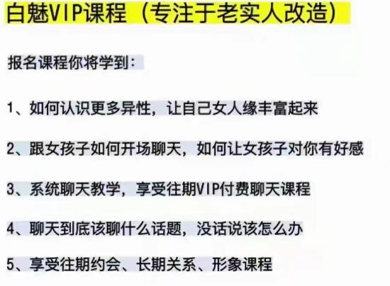 【价值698元】白魅VIP课程（专注老实人改造）百度网盘下载【083103】-恋爱猫