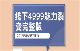 [14.7GB]2016PUANEY线下4999魅力裂变完整版-恋爱猫