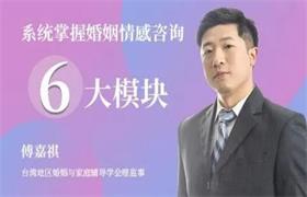 【完结】傅嘉祺 系统掌握婚姻情感咨询6大模块52集视频教程-恋爱猫