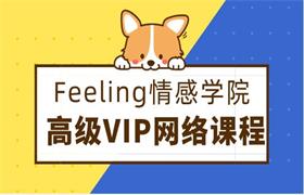 2018年Feeling情感学院《高级VIP网络课程》-恋爱猫