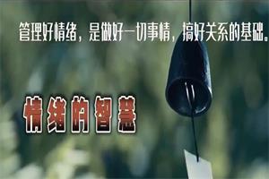 古老师《情绪管理》是你控制情绪还是情绪控制你-恋爱猫