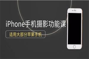 杨老师讲摄影《零基础玩转你的iPhone手机摄影功能》12节视频课-恋爱猫